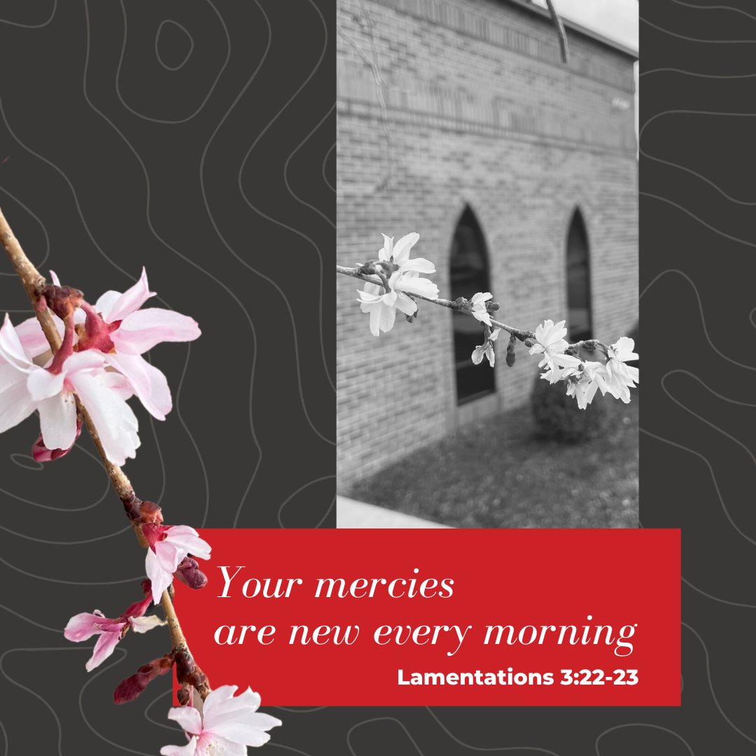 The steadfast love of the Lord never ceases; his mercies never come to an end; they are new every morning; great is your faithfulness. Lamentations 3:22-23 #snclife