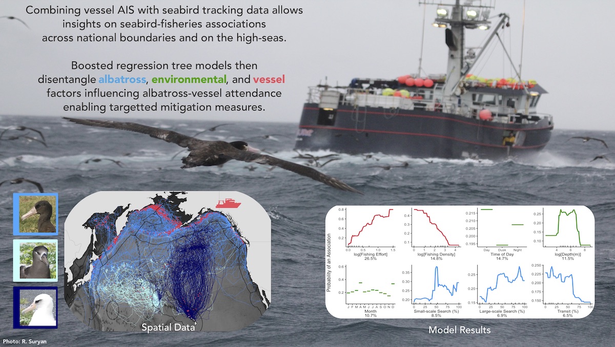 Dr. Rachael Orben tweet media