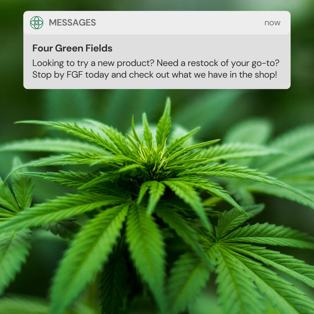 FGF_Maryland's tweet photo. New message from Four Green Fields!
.
Looking to try a new product? Need a restock of your go-to? Stop by FGF today and check out what we have in the shop!
.
.
#medicalcannabis #marylandcannabis #mdcannabis #harfordcounty #baltimorecannabis #cannabisismedicine https://t.co/ucBZd5m0r6