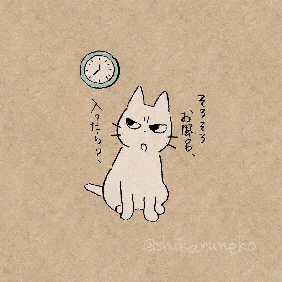 めんどくさがって湯船につからない人を叱ってくれる猫 