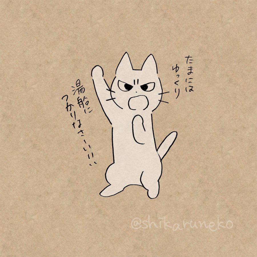 めんどくさがって湯船につからない人を叱ってくれる猫 