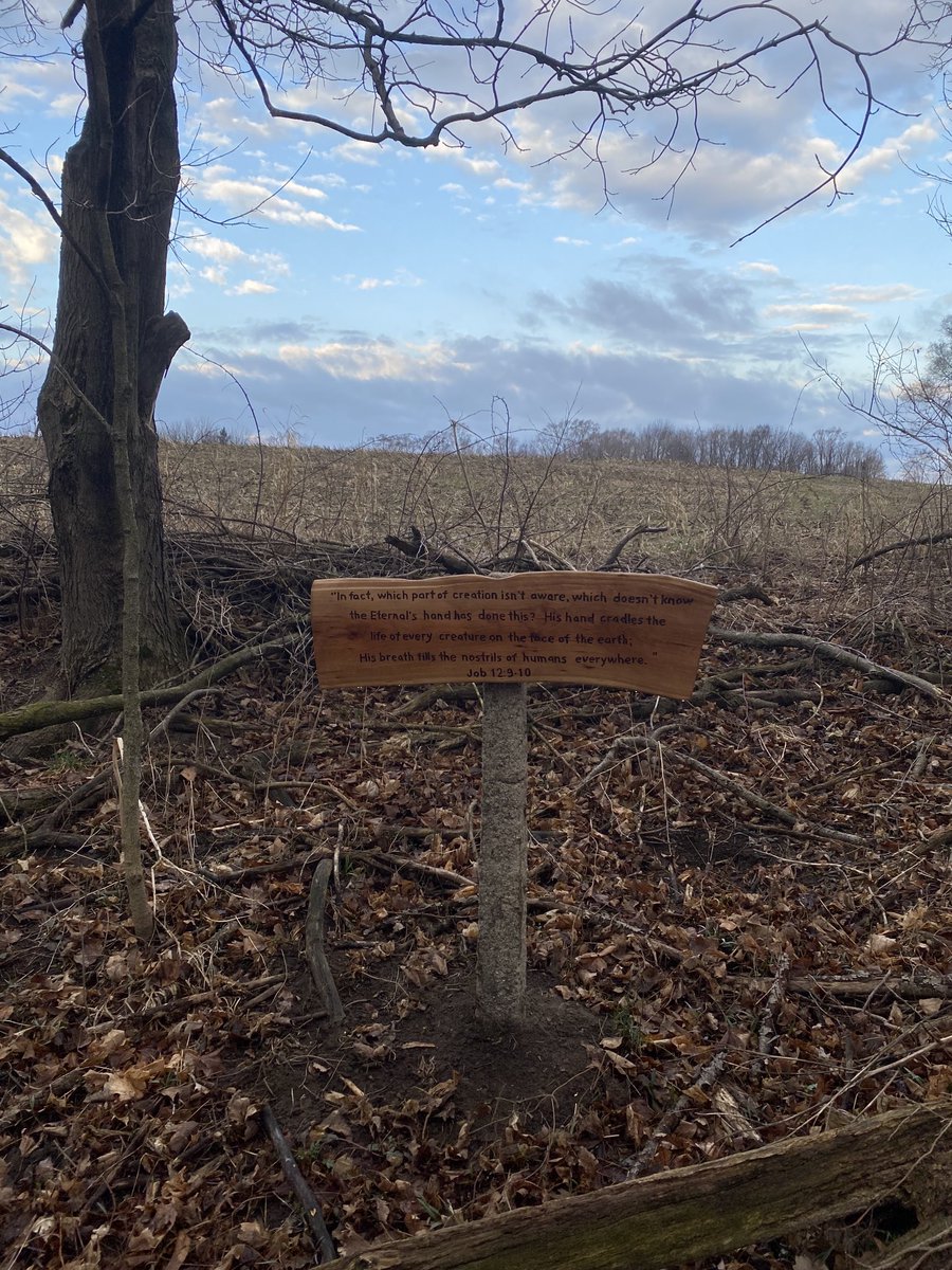 tomlschipper's tweet image. Some truth from Job.