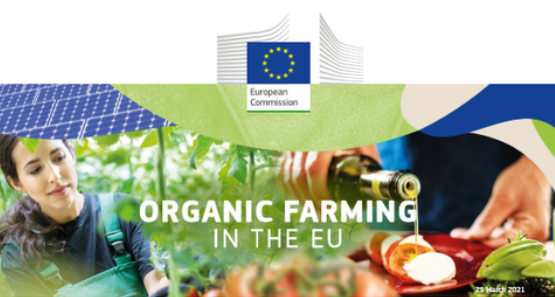 IPIFF_org's tweet image. The European #insect sector welcomes today’s publication of the @EU_Commission ‘Action Plan for the Development of the Organic Sector’.

1/2