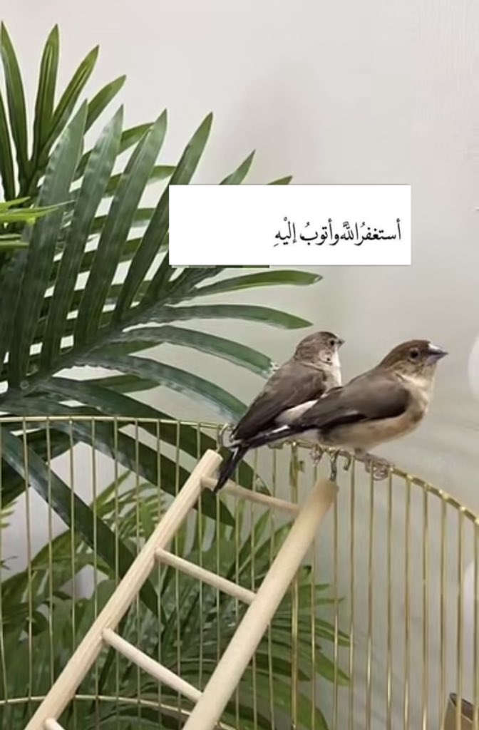 نوال عبدالله (@njkw5) on Twitter photo 