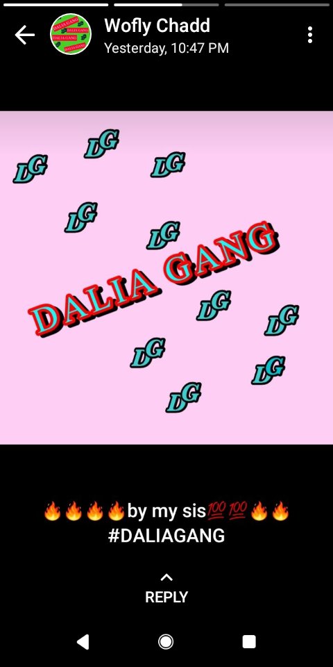 HalloPain's tweet photo. #DailaGang https://t.co/4giF4a3Bpo