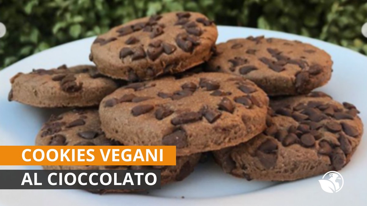 LVegetali's tweet photo. Cosa c'è di meglio di inzuppare al mattino nel latte vegetale dei biscotti al cioccolato vegan?  🍪🌱 https://t.co/6qp7STUsJr