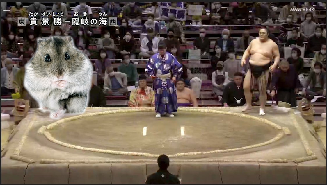 NattoSumo on Twitter "I removed NHK's filter https//t.co/8yGNnl9CcI