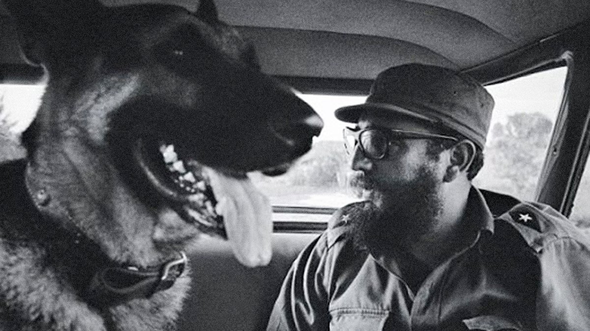 En el  Día de la Medicina Veterinaria, quienes garantizan en #Cuba la salud de los animales y con ello también la salud humana, merecen nuestro reconocimiento. Como amante y defensor de los animales les envío abrazo agradecido. #SomosCuba #CubaViva