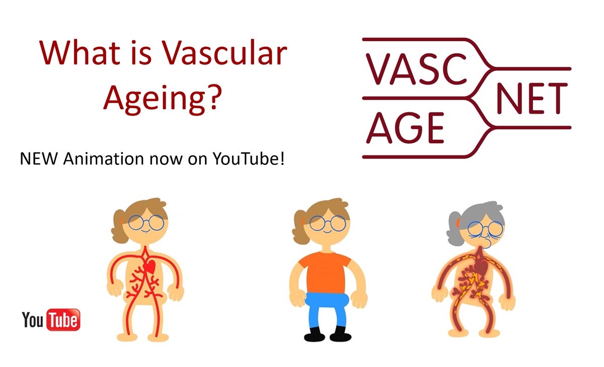 What is vascular ageing and why is it important? Watch our NEW #animation to find out! youtu.be/7s0_Rkg_bRE  #vascularageing #vasculartwitter  <a href="/ArterySociety/">ARTERY Society</a> <a href="/COSTprogramme/">COST</a> <a href="/NAASociety/">North American Artery Society</a> <a href="/escardio/">European Society of Cardiology</a> <a href="/ISHBP/">International Society of Hypertension</a> <a href="/ESHypertension/">European Society of Hypertension</a> <a href="/EccrOrg/">eccr.org</a> @BIHSoc_Events @HBPRCA <a href="/RIVAIllustrati1/">RIVA Illustrations</a>