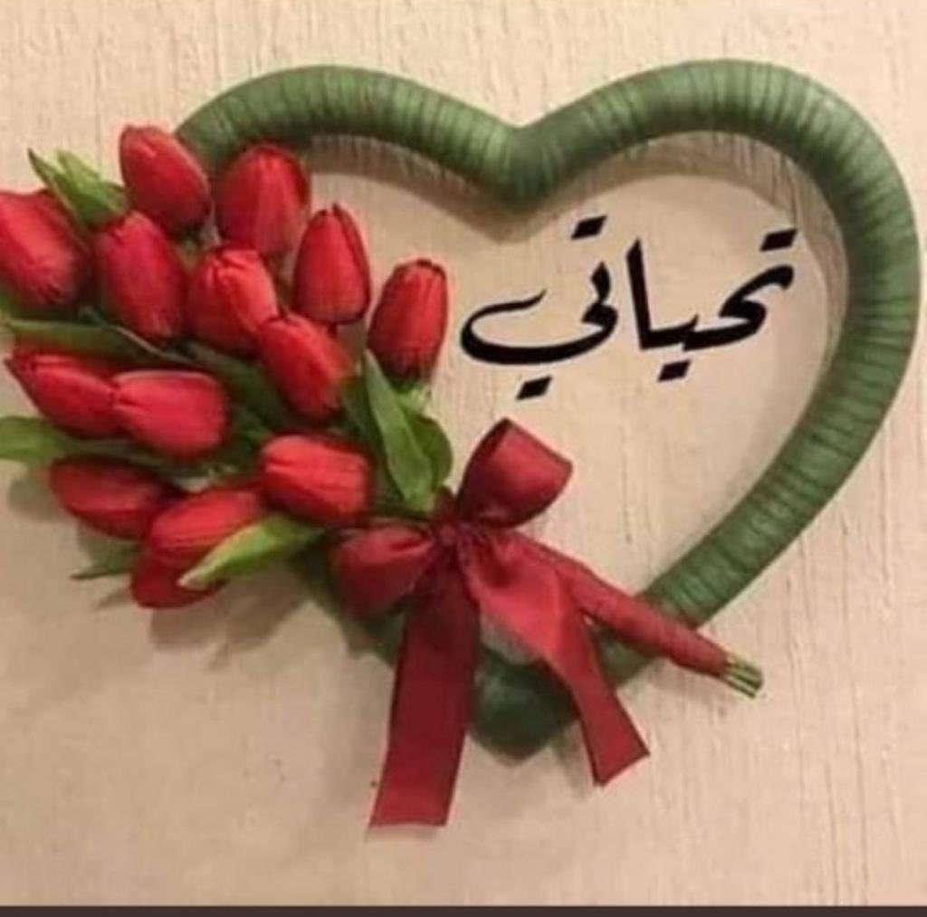 I8Hfdu's tweet photo. @algooo1984 https://t.co/7Tzsl0d2vl