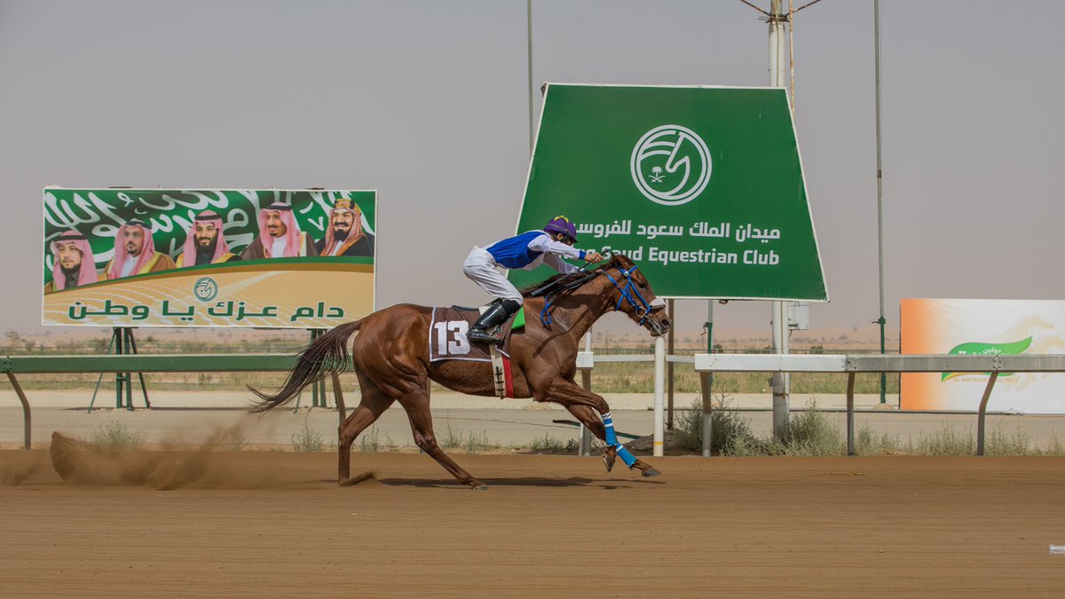 FrosiahQ's tweet photo. «تمريرة» أولاً في الشوط الأول
 في الحفل الثالث والعشرين   
بـ #ميدان_الملك_سعود https://t.co/fhWp5EBSDR