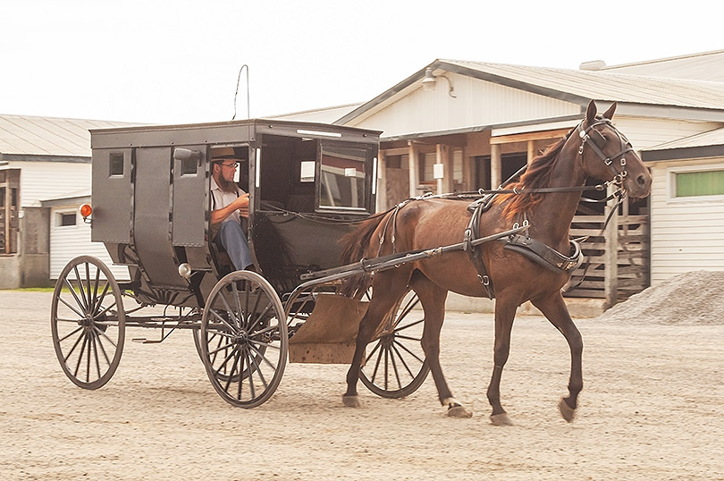 HydeFineArt's tweet photo. Amish Horse and Buggy and Sale Barn at Yoder's Hardware Store, Shipshewana, Indiana, 2015 by David Leland Hyde. 
#Barns #Horses #horseandbuggy #Amish #Indiana #Midwest #Photography #HeartlandAmerica #Farming #Dairy #HeartlandUSA #AgricultureWestandMidwest #rustruinandresurrection https://t.co/5nU0xDyh2K