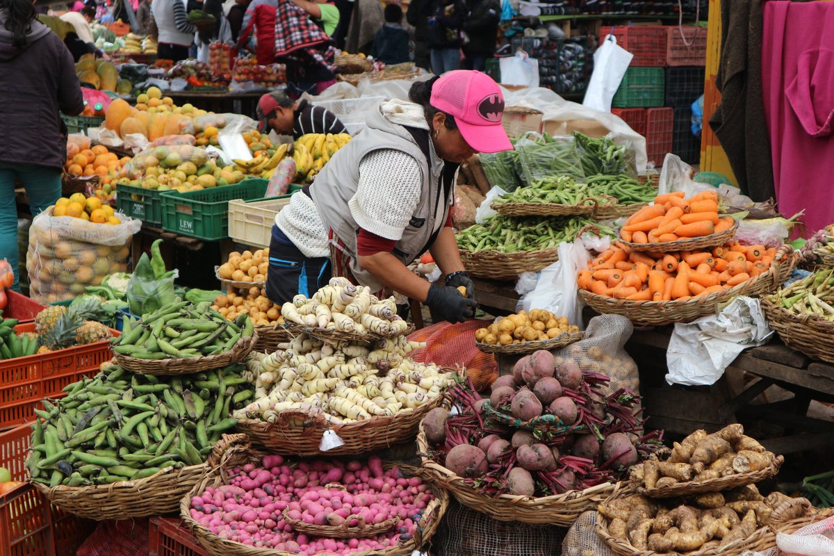 UPFC4's tweet photo. Al menos 6.000 especies de plantas colombianas tienen usos reportados. De los usos reportados 79% tienen usos medicinales y 26% son fuente de alimento. Descubre más sobre el poder de las plantas en nuestra nueva publicación >> https://t.co/WBoMWIcWns #ColPlantA  #upfcol https://t.co/mSUbbvjlYz