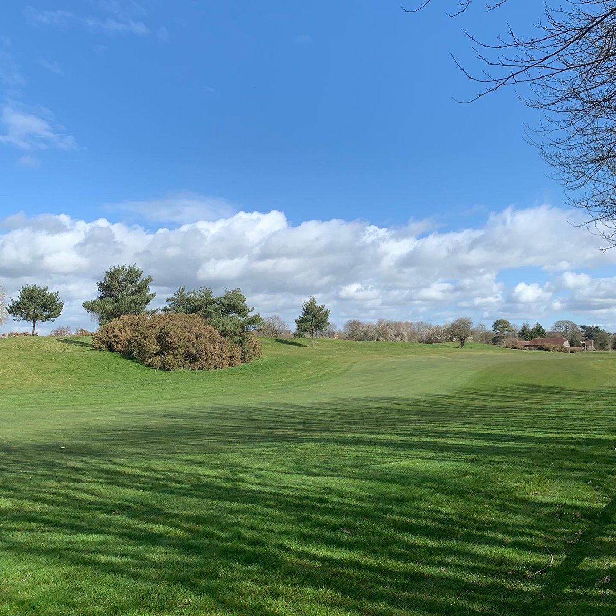 GolfGrowing's tweet photo. Course looking strong for the return! @CMatKHGC ☀️ 

Who else can’t wait to be back?

#golf #condition #pure #sun https://t.co/6EyBflwDq7