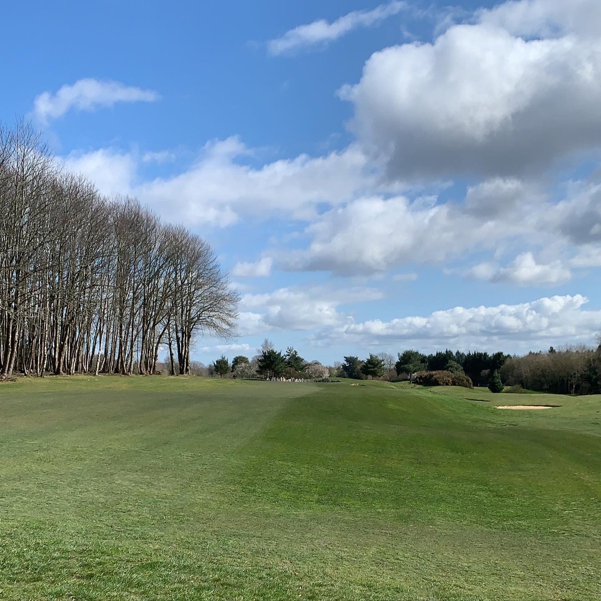 GolfGrowing's tweet photo. Course looking strong for the return! @CMatKHGC ☀️ 

Who else can’t wait to be back?

#golf #condition #pure #sun https://t.co/6EyBflwDq7