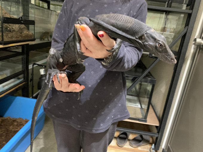 Big Inさん の人気ツイート 7 Whotwi グラフィカルtwitter分析 Big Inさん の人気ツイート 7 Whotwi グラフィカルtwitter分析