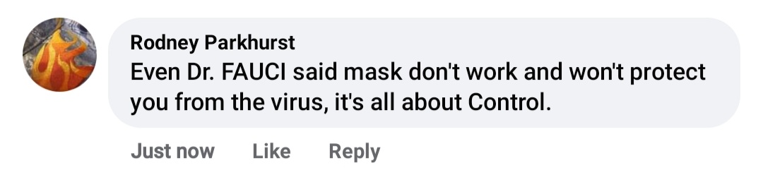 BadMaskTakes's tweet photo. Peak 2020 response https://t.co/kPYQLC0lu2