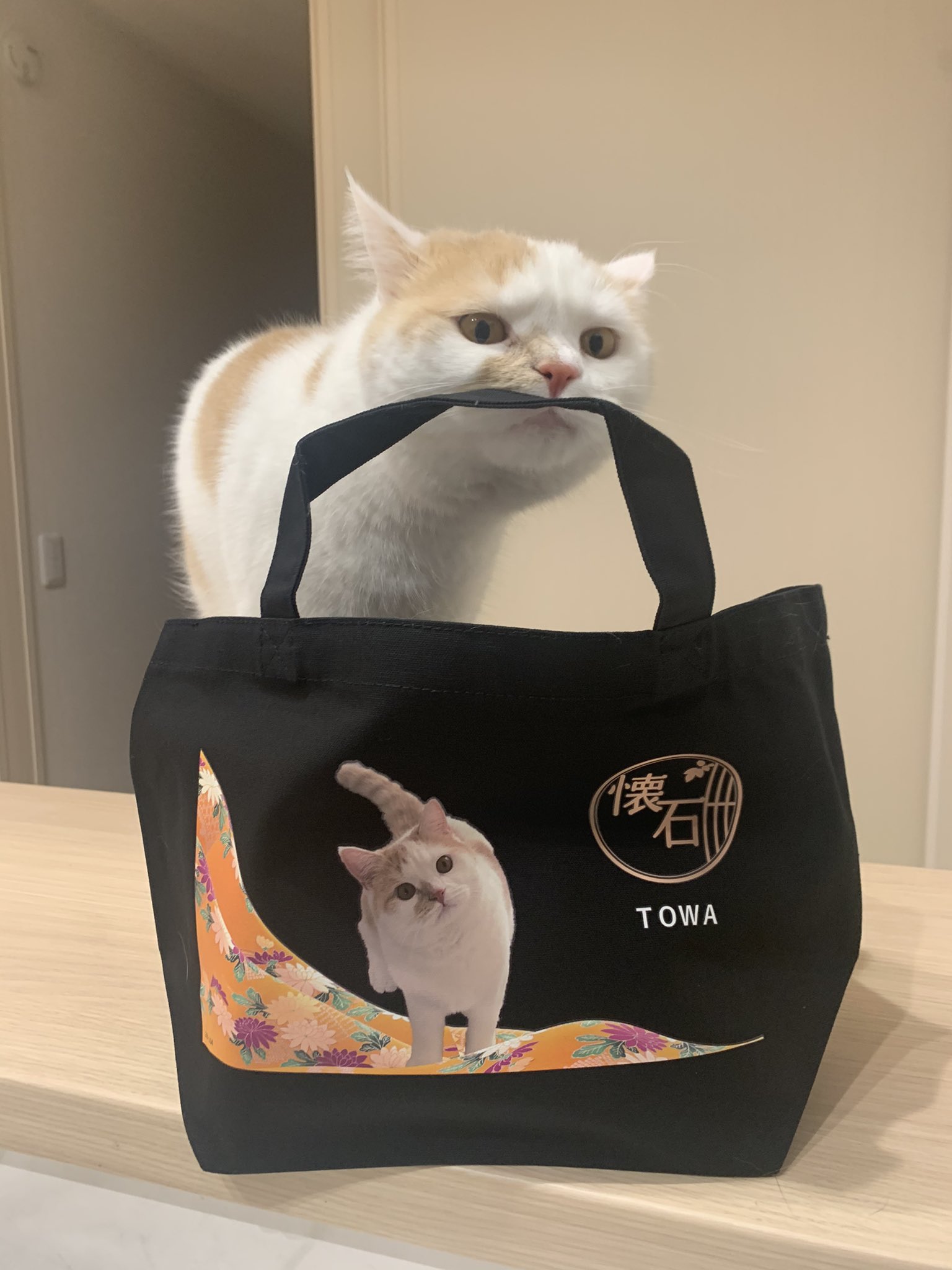 かなりん キャンペーンに当選して ランチトートバッグを作っていただきました 使える写真1匹だけだったから 迷いましたが今回はトワに ベルたん今回はごめんね ベルの缶バッジ付けてみた 付ける位置 のセンスなし 明日からランチバッグに使