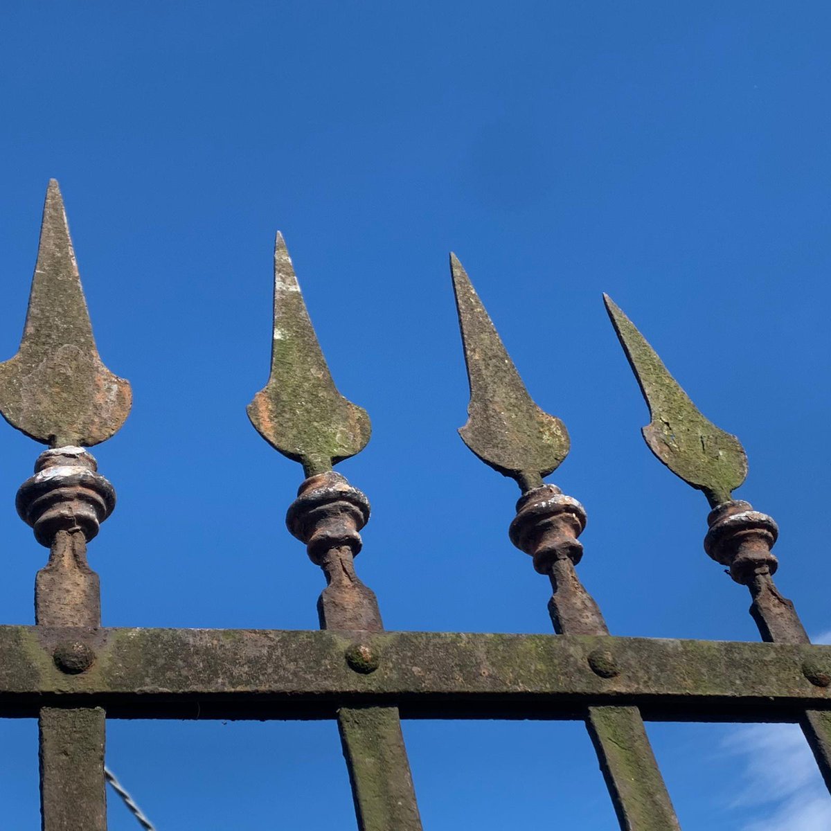 RecuperandoAnd's tweet photo. Antico cancello!!
#anticocancello#antico#cancello#old#ancient#oldgate#ancientgate#antiquegate#home#homesweethome#homedecor#homedesign#luxury#luxurygate https://t.co/9TtIdLxT6G