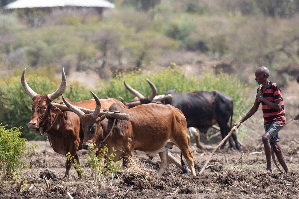 CABI_News's tweet photo. Guides – such as ‘Developing a data management plan’ are also included in the Data Sharing Toolkit along with country profiles that outline agricultural data policy and legislation @gatesfoundation #DataSharingToolkit https://t.co/hPLM9JJFSh https://t.co/8JtAUJ0pId