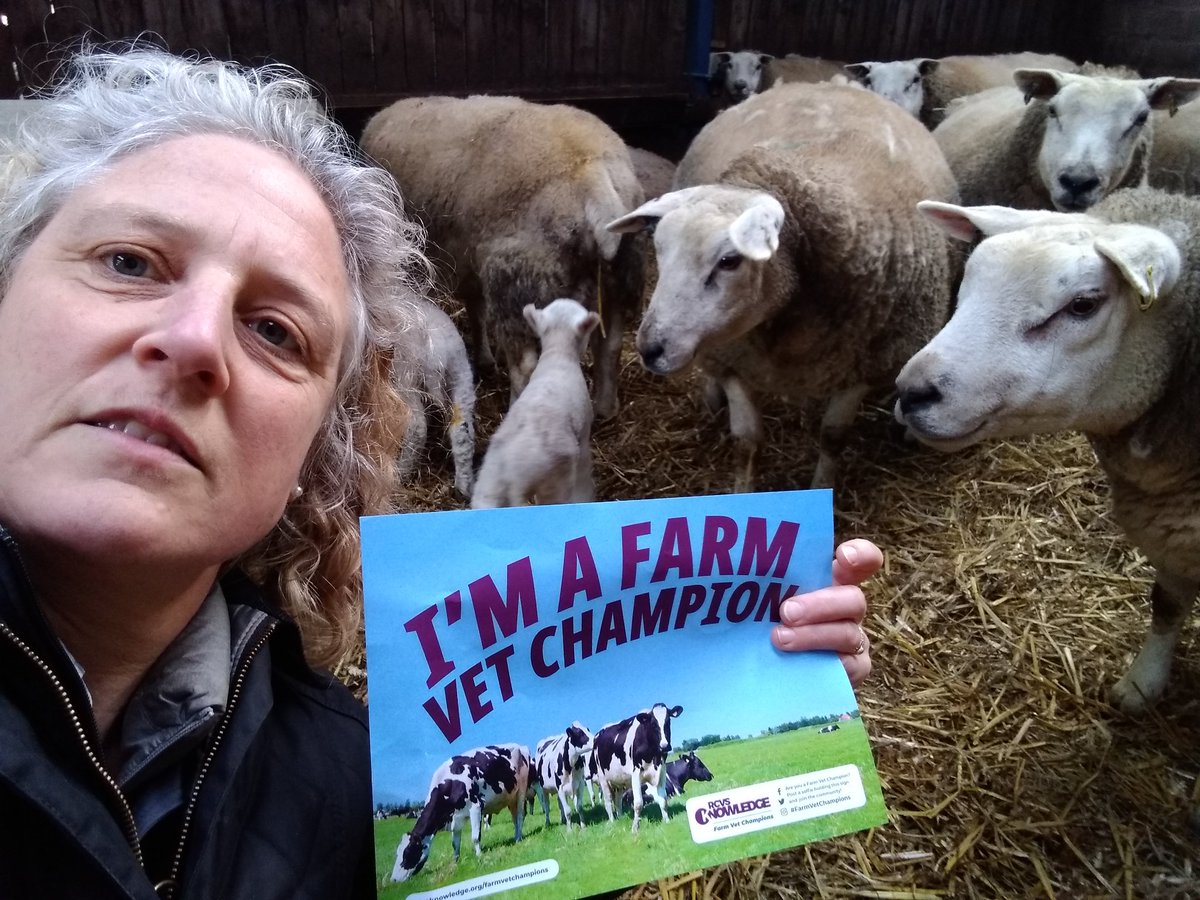 FlockHealth's tweet photo. So #farmvets #teamvet - can you look out for your @vettimesuk arriving in post - it contains one of these special posters
- & this is the challenge -
✅1. Sign up at https://t.co/hmwZZk8fb6
✅2. Take your poster selfie on farm
✅3. Share picture here...with #farmvetchampion tag https://t.co/fPK5p4b5x1