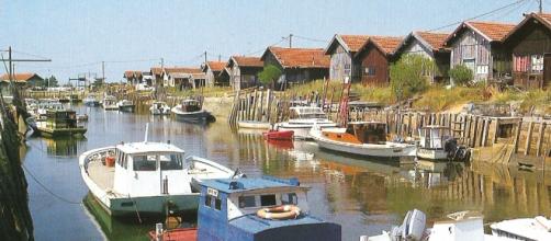 EuropeAccess's tweet photo. 🏠🏠Looking for a future #TownTwinning partner?

 🇫🇷 The lovely French town of Gujan Mestras is looking for an Irish twin town involved in:

🦪 Oyster farming
🏉Rugby
⛳️Golf

👉For more info, visit https://t.co/2EsUpzoAJK or email Ms. Szilvia Korpas at szilvikorpas@gmail.com. https://t.co/XJVP5NLe3x
