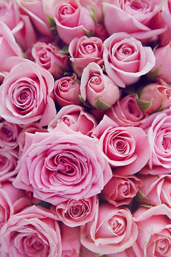 JeanetteEliz's tweet photo. Happy Thursday Everyone. 😊 Have a beautiful day. Stay Safe!!! 💞🌺💕 https://t.co/UXHTjRbqrU