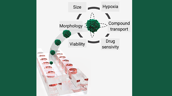 Advanced Portfolio News tweet media