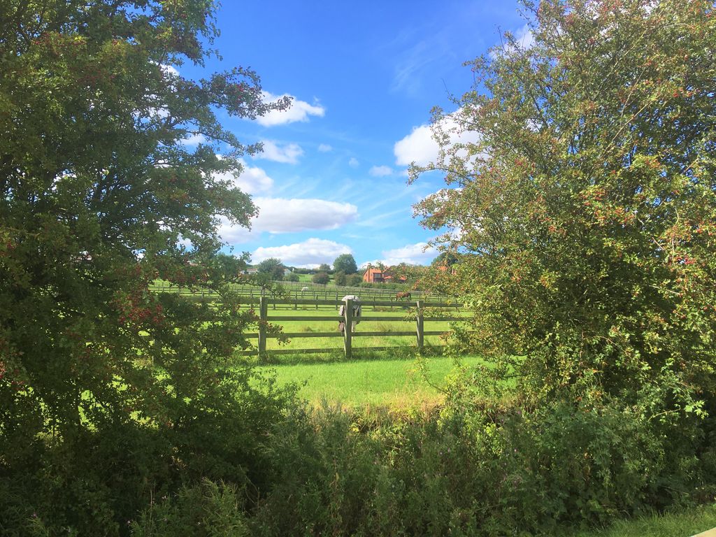 Willow_LakesLP's tweet image. We have some very happy horses on site now they can enjoy grazing the fields again!