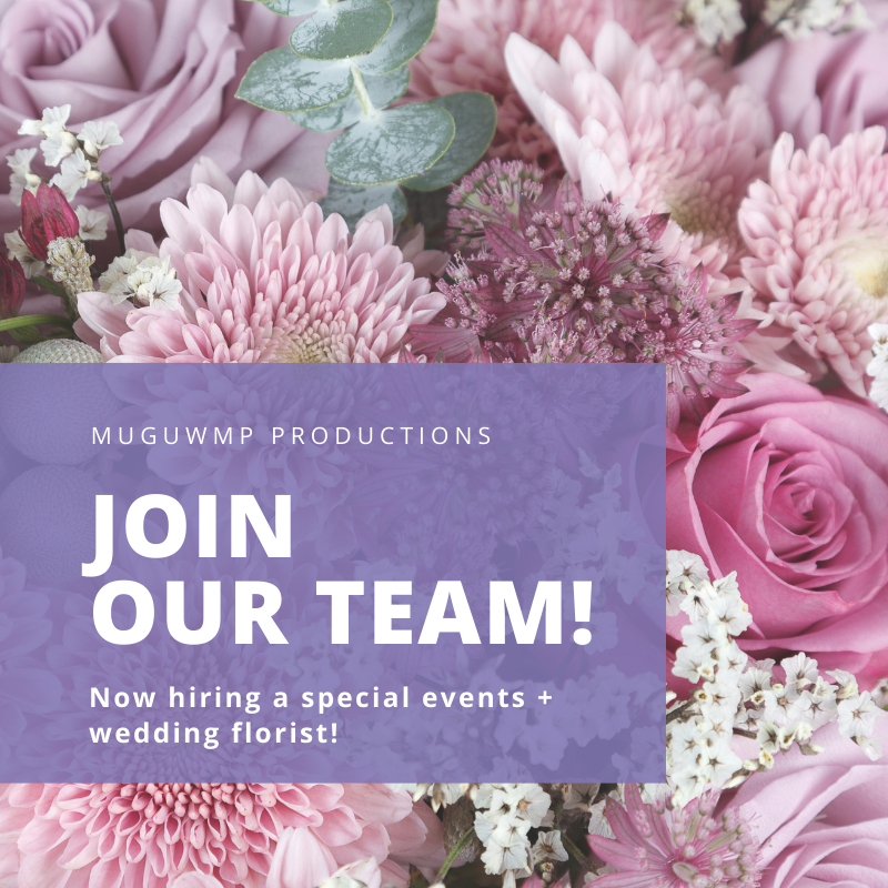 MugwumpProd's tweet photo. We're Hiring! Details: https://t.co/nnhxvgN7dC 🌸 https://t.co/TotH7JxpCg
