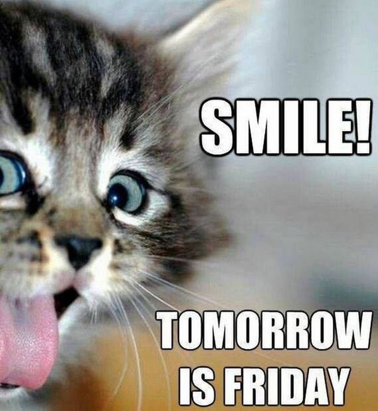 EpicediumNJ's tweet photo. We are almost there! Happy #Thursday!! 👻🔦👽
#positivemind #positivevibes #paranormalteam #phenomena #helpforthehaunted #searchingtheunkown https://t.co/bsWGThxqNY