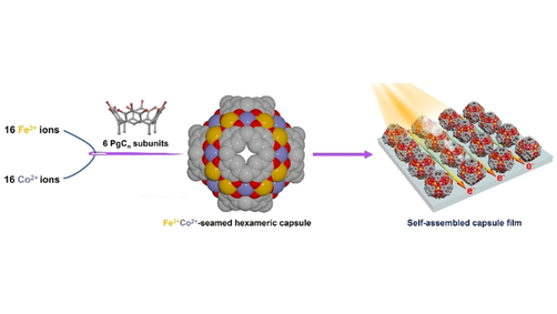 #SelfAssembly of a Semiconductive and Photoactive Heterobimetallic Metal-Organic Capsule (Atwood) onlinelibrary.wiley.com/doi/10.1002/an…