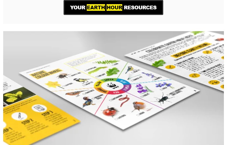 Caledonia Primary tweet media