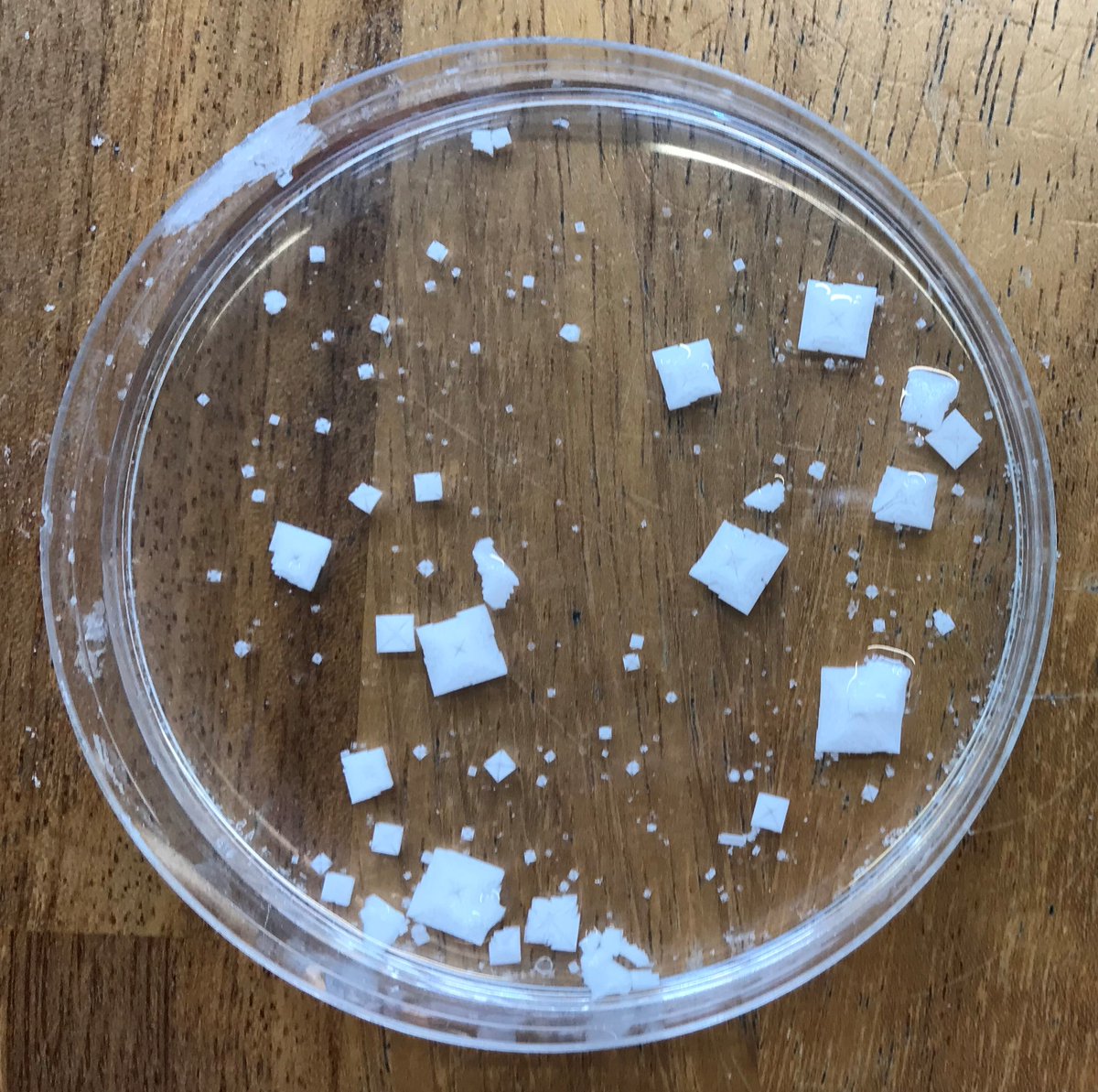 Gillespie Primary School tweet media