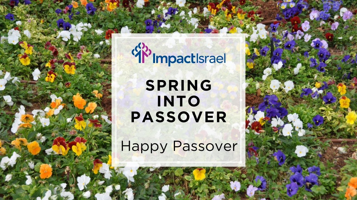 ImpactIsraelNow's tweet photo. Happy Passover from our Village Way Family. #impactisrael #elevatingeducation #liftinglives #thevillageway #happypassover #chagsameach #chagpesach #eatmorematzo https://t.co/YQcrkZLCIe - https://t.co/DUtIGJ1TOY https://t.co/Z6NMZ652P7