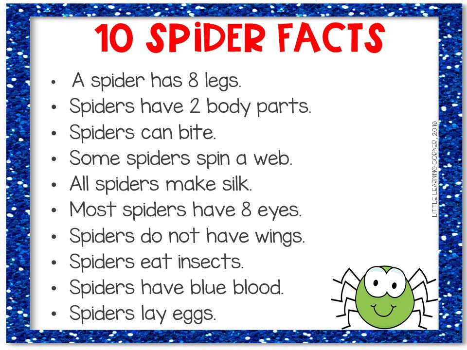 MrsLeach5's tweet photo. 🕷 facts 😁 https://t.co/OGQjsgFW0L