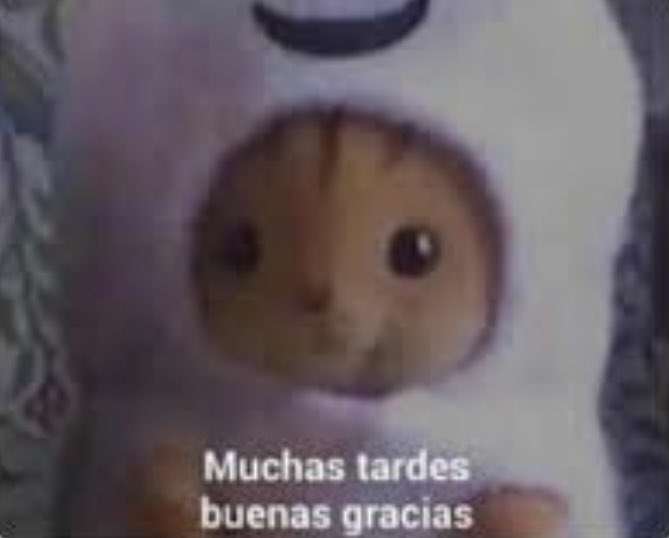 yo en cada exposición que tengo:
