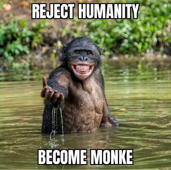 ShinkaNTBSS's tweet photo. Those 4v1 monkeys.
Why is it that 4 players have to chase one single player with half-life?
It's pathetic. https://t.co/OQmxsuPxDd