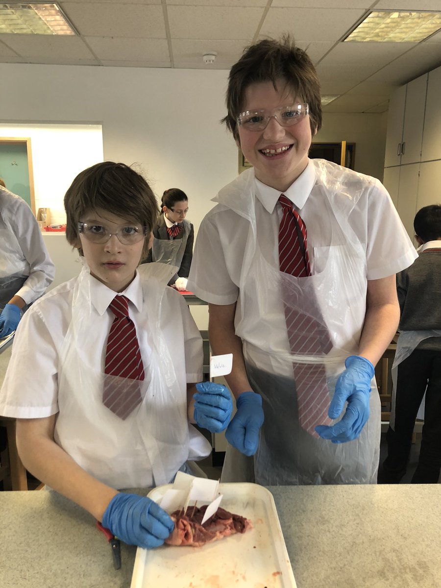 BGS_ScienceDpt's tweet photo. Year 6 got their blood pumping when they dissected a lamb’s heart during Science https://t.co/ajsaCnQkzp