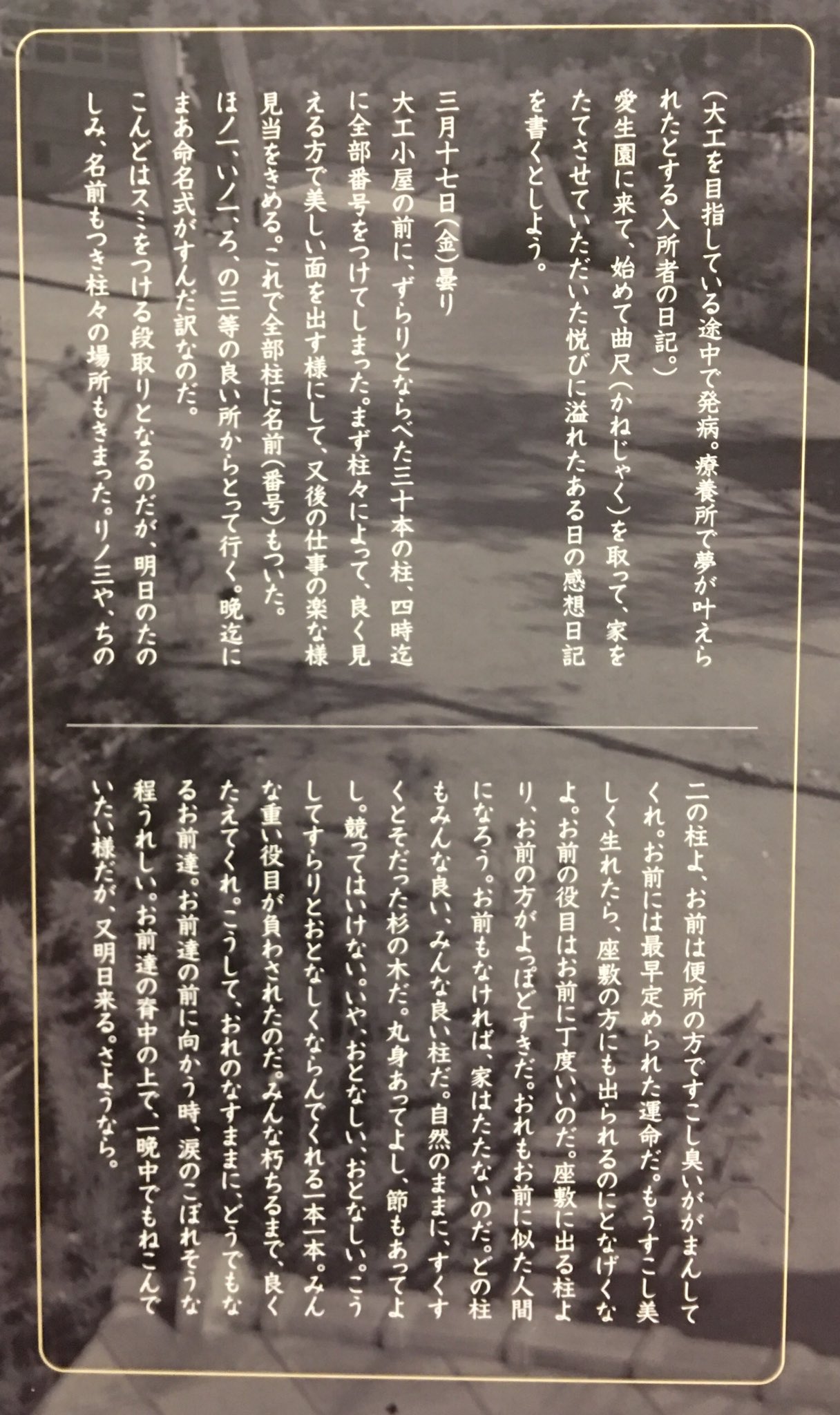 Kenjiro Hosaka On Twitter こんなにまで ひとつひとつの柱に声を呼びかける大工がいただろうか 大工になる夢が ハンセン病にかかってしまい叶わぬものとなったと思っていたその人は 運命のいたずらか 隔離収容 された地で家を建てることになる 大工として材木
