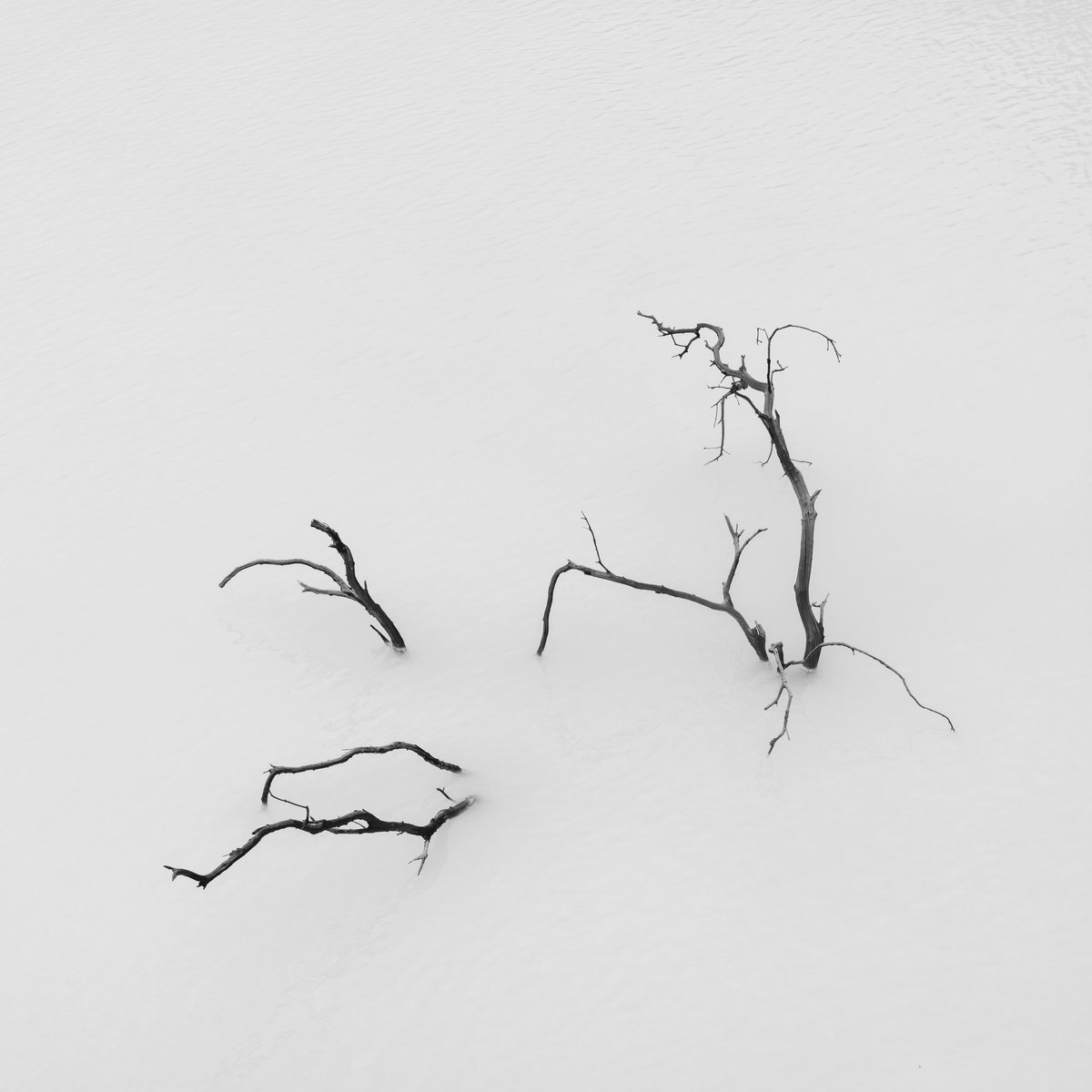 Daniel Tjongari tweet media