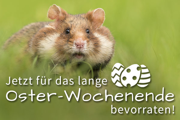 twitt_erfolg_de's tweet photo. RT @docgoy: 8% bei Tierarzt24 und 5% bei ZooPlus --> https://t.co/u7tUM9CjCY #osterrabatt https://t.co/wlakpmdag0