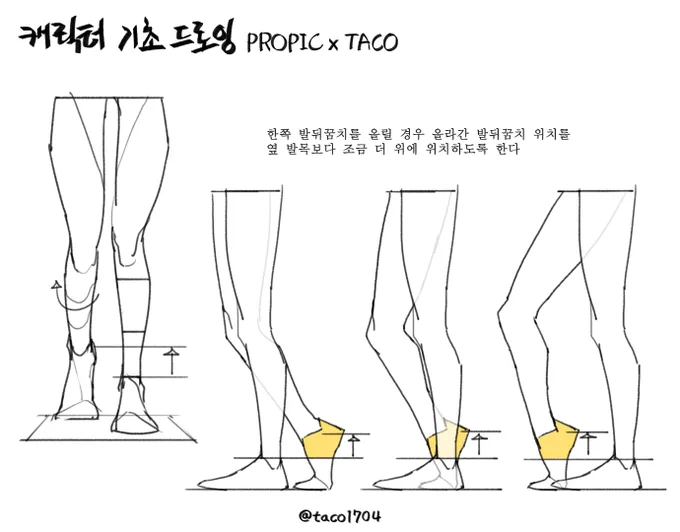 한쪽 발뒤꿈치를 올릴 경우 올라간 뒤꿈치의 위치는 옆 발의 발목보다 조금 더 위에 위치한다 