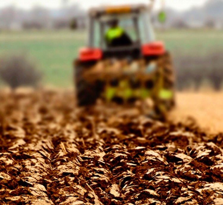 bethoc61's tweet image. Groundbreaking is about to go down- 
Smell the earth 
Smell the awakening 
#springforth 
#grassrootsgrace