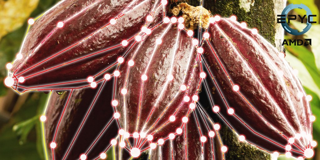 Fujitsu_Global's tweet photo. Growth in the #datajungle: A new variety of cocoa pods powered by AMD #EPYC processors and #PRIMERGY servers. https://t.co/A2WqWSlg18 https://t.co/JtJHi9Kw3G