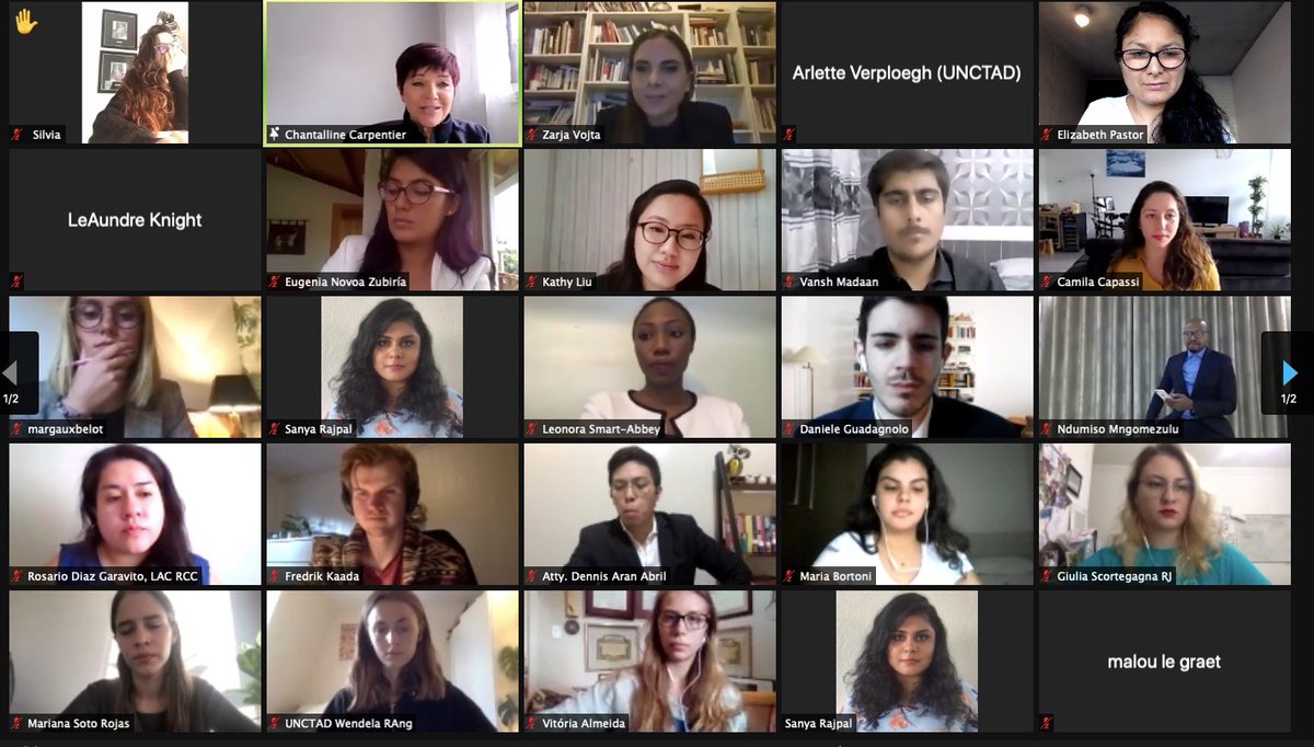 UNCTADYouth's tweet photo. At the @UNECOSOC Youth Forum 2021 pre-event the youth call to action was loud and clear: to achieve SDGs 1 &amp; 8 we need a global deal that drives job creation &amp; upskilling for the digital era ahead! 🗣️🌍

#Youth2030 #Fin4Dev https://t.co/kWgGXHbYLD