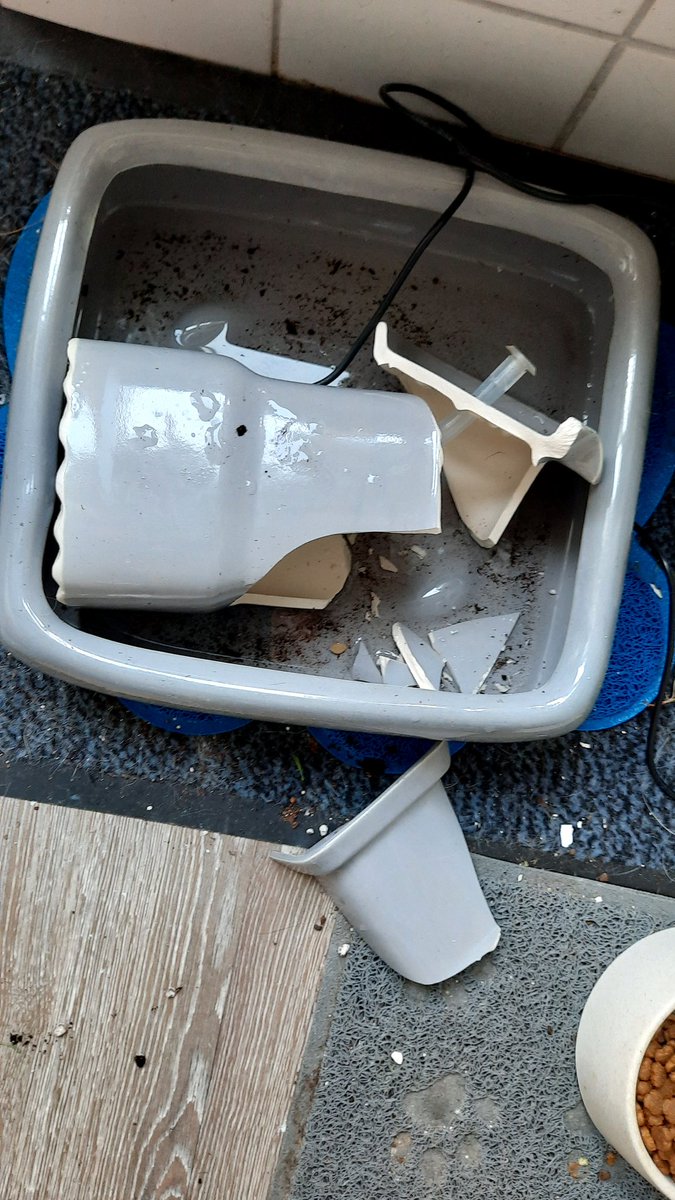 MaikeSorber's tweet photo. Een dure waterfontein gekocht bij @MiaustoreNL 
De kat valt erop: kapot 😲
Dan mail je hun super klantenservice om een nieuw onderdeel te kopen. Kan niet want dat onderdeel kan kapot gaan tijdens transport. Ze kunnen me het onderdeel ook niet toesturen want ik heb geen garantie. https://t.co/CbilOIniUm