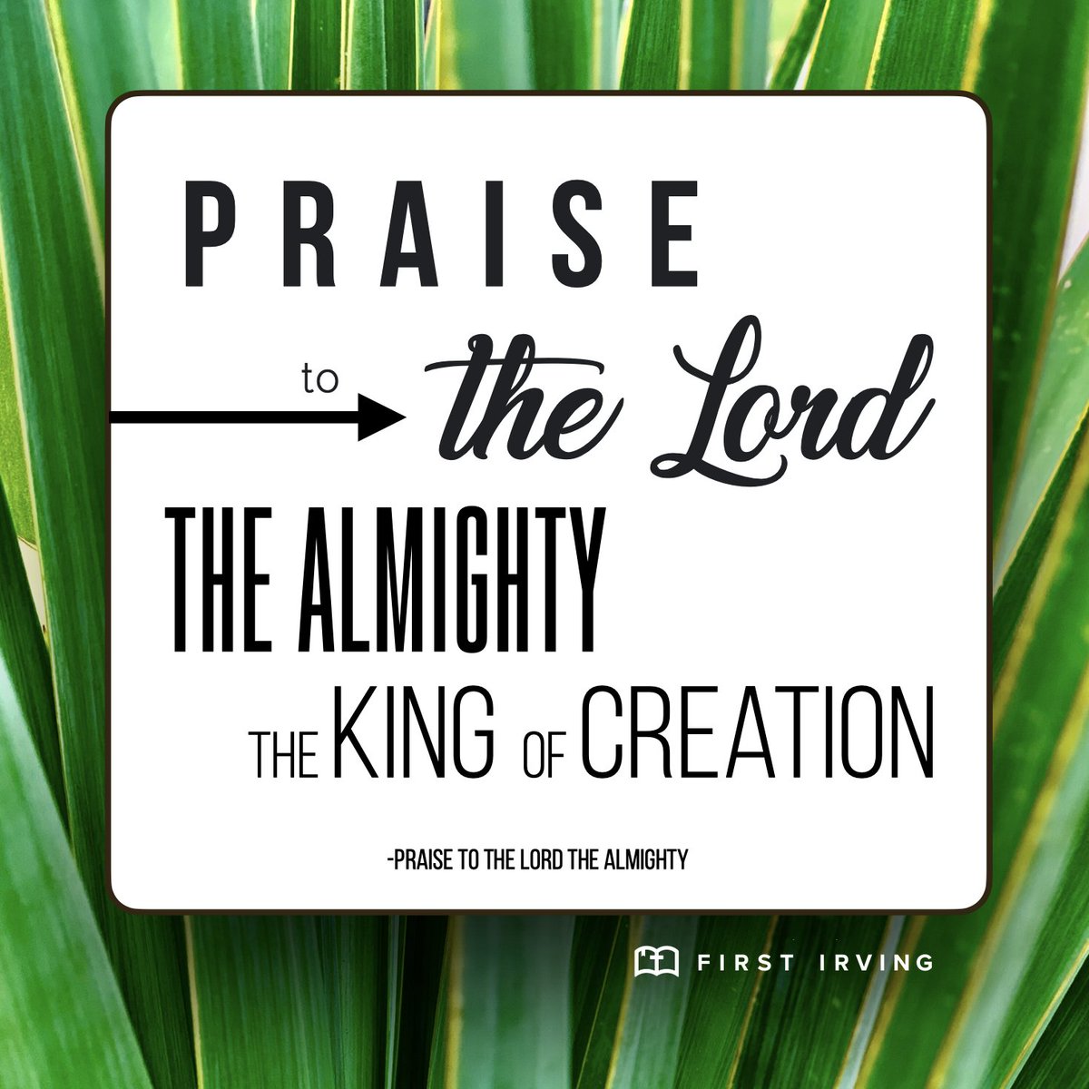 first_irving's tweet photo. We are looking forward to celebrating Holy Week with you! Check out https://t.co/dfBvoxpYRB for more information. We hope you will join us as we celebrate Palm Sunday this coming Sunday! 

Head over to https://t.co/c99Mrpmqg8 to listen to this week's worship set. https://t.co/5XsFmA6tP2