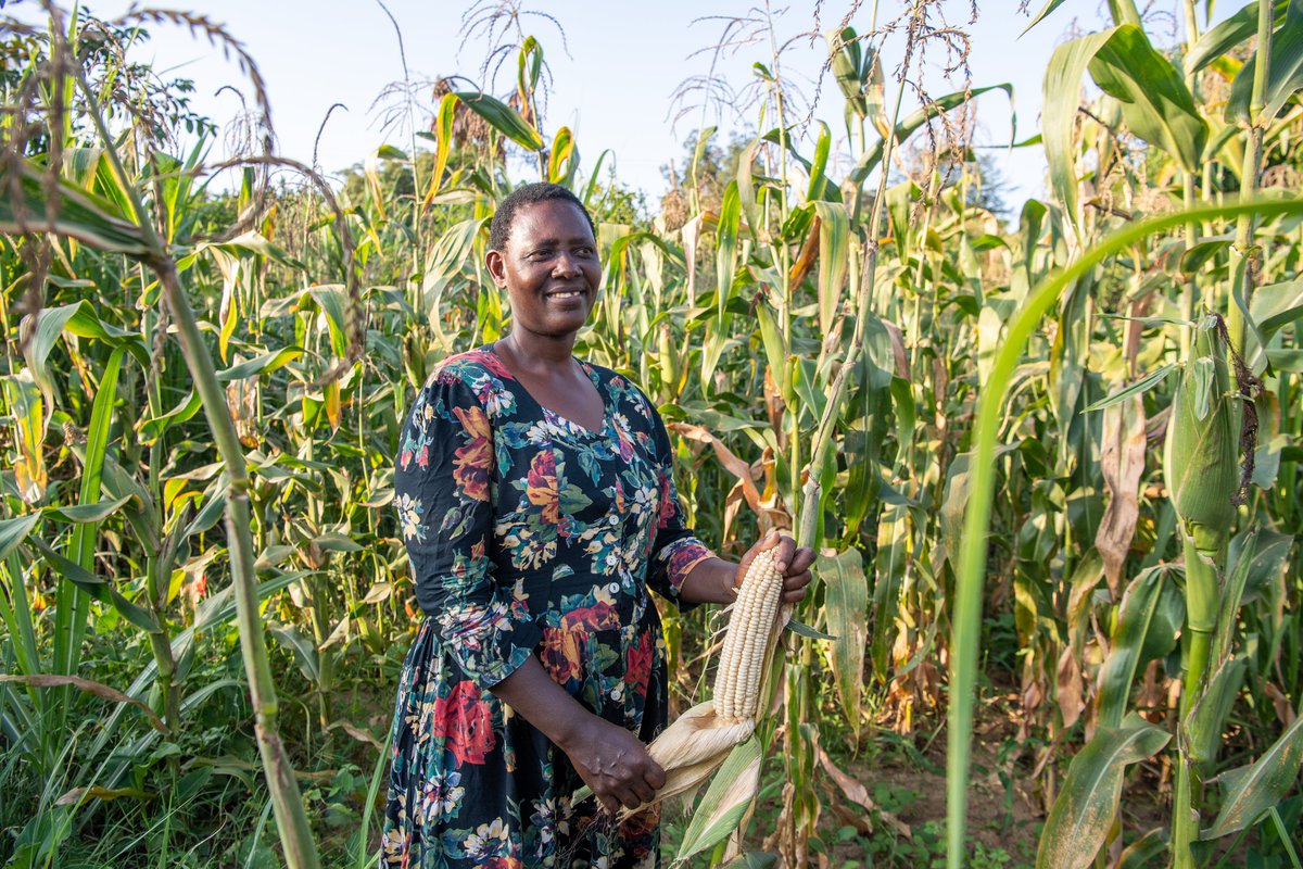 gatesfoundation's tweet photo. Veronica is a farmer like her parents. Uncertain weather conditions make farming difficult, but she’s doing her best to innovate and make it through with the help of new crop varieties. Despite challenges, it's still her dream to expand the farm to further uplift her family. https://t.co/GKddWDHXGs
