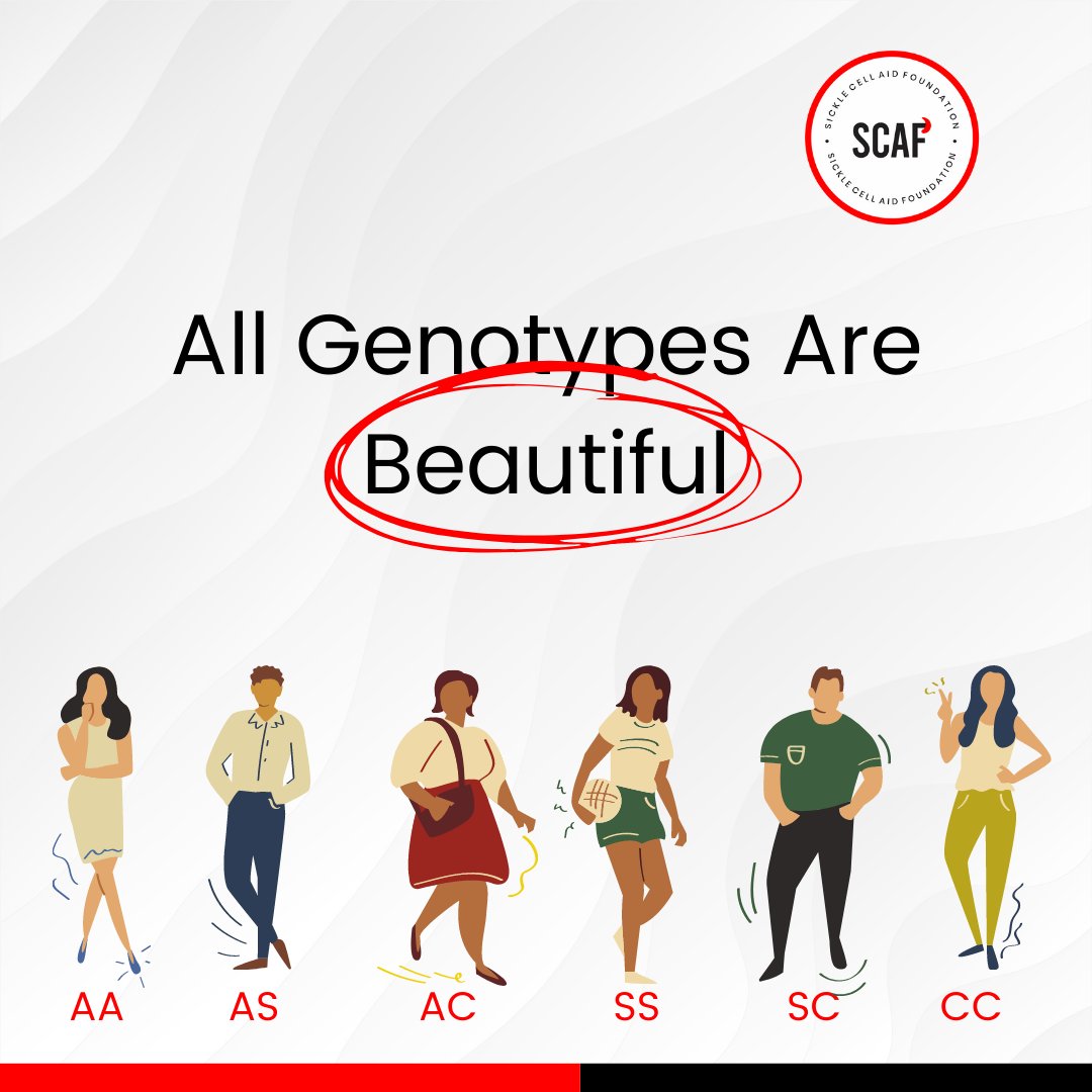 SCAF_Nigeria's tweet photo. Your genotype does not define you!
Whether you’re AA, AS, AC, SS, SC, CC - we all matter and that's on periodt!
No comparison, no pressure, no shame.
Reply this tweet with a 'Yes' if you agree. ❤️
#SCAF #SickleCellAwareness #SupportSCAF #SCDbill2020 #UnbreakableWarriors https://t.co/qWjLwrOrZg